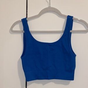 Aritzia Babaton blue ribbed bra top